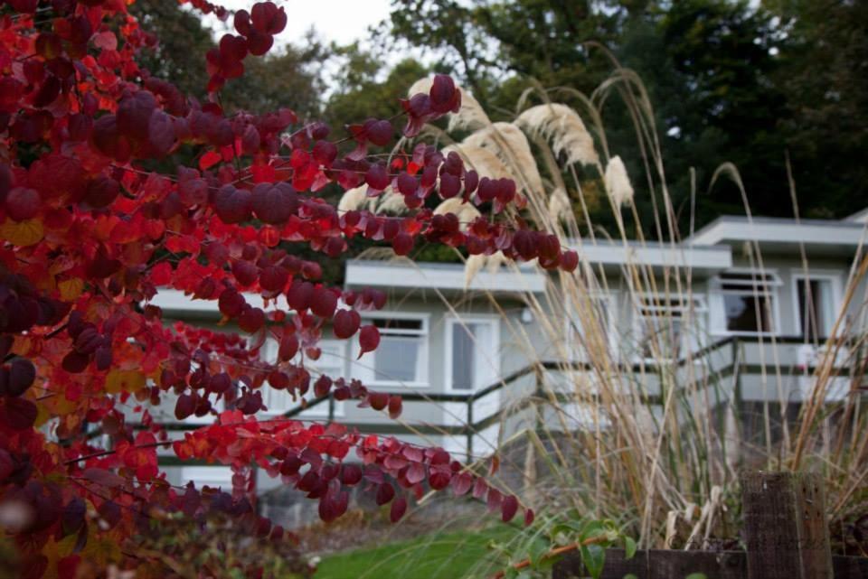 Hotel The Arran & Arran Sleep Huts 3*